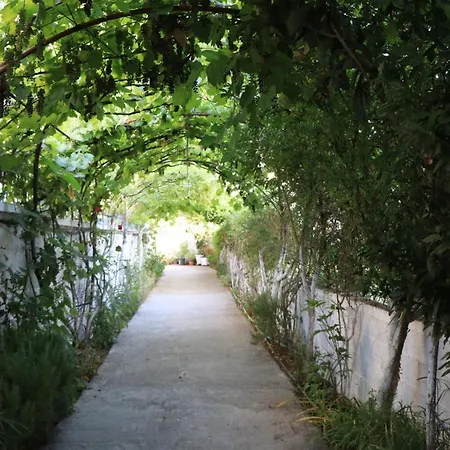 Albora 2 홈스테이 *